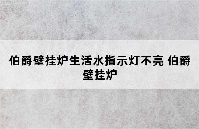 伯爵壁挂炉生活水指示灯不亮 伯爵壁挂炉